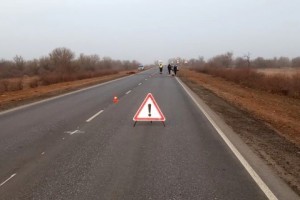 На трассе под Астраханью четыре человека пострадали в ДТП с лошадью