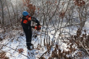 В Приморье спасатели МЧС России продолжают ликвидировать последствия стихии