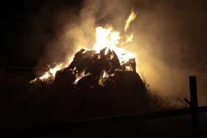 В Астраханской области из-за непотушенного окурка сгорели рулоны сена
