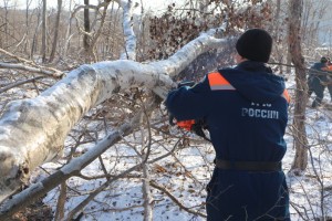 Спасатели МЧС России продолжают очищать ванты моста на остров Русский