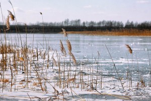 В среду в Астраханской области до -18 градусов с изморозью