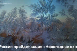 Астраханцы могут принять участие во Всероссийском флешмобе «Новогодние окна»