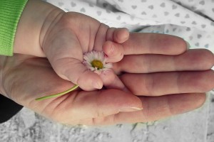 Астраханских беременных успокоили – коронавирус не передаётся новорождённому