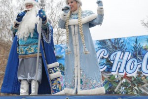 Новогодние гулянья в Астрахани пройдут только у одной ёлки
