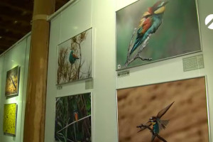 Выставка уникальных фотографий заповедной природы открылась в астраханском Цейхгаузе