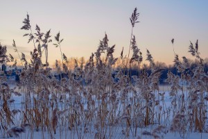 В Астрахани 12 января немного похолодает