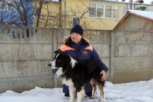 Служебная собака МЧС России получила награду на церемонии «Лучшие собаки России»