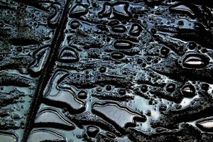 В Астраханской области на Волге ликвидировали крупное нефтяное пятно