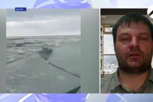 Сохранение популяции тюленей на Каспии: мнение эксперта на «Астрахань 24»