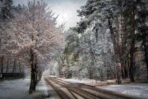 В пятницу в Астрахани ожидается снег с дождём