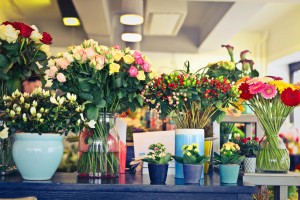 Астраханцам рекомендовали, как правильно выбрать живые цветы