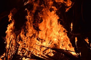 Фронт огня 800 метров: на тушение пожара в Астраханском заповеднике брошены силы МЧС