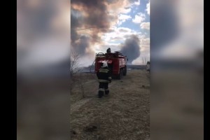 Появилось видео тушения ландшафтных пожаров в Астраханском заповеднике