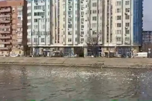 В Астрахани проводится проверка по факту загрязнения акватории Приволжского затона