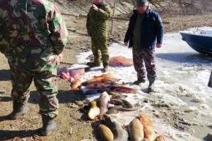 Гость Астраханской области наловил больше центнера рыбы в запретном месте