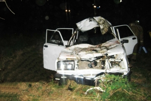 В Астраханской области в результате  наезда на животное  пострадал водитель