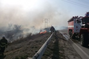 В Астрахани снова горит камыш