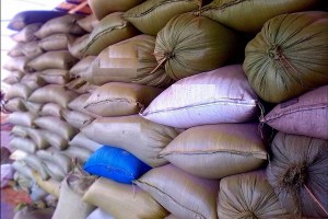 В Астраханской области Россельхознадзор задержал 423 тонны кукурузы