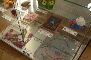В Астраханском краеведческом музее открыта выставка «Мир заповедной природы глазами детей»