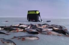 В Астраханской области проводится проверка по факту безвестного исчезновения двух рыбаков