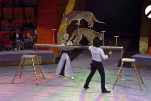 В Астраханском цирке представили новую программу