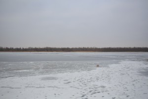В Астраханской области пропал ещё один рыбак