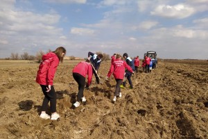 В Камызякском районе астраханцы высадили «Сад памяти»
