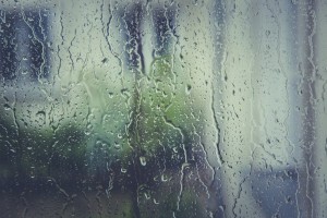 В Астраханской области во вторник ожидается дождь