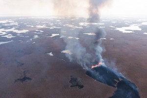 В Астраханском биосферном заповеднике полностью ликвидирован ландшафтный пожар