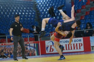 Астраханские борцы выиграли 4 медали на юниорском первенстве ЮФО