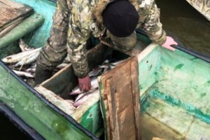 Астраханского промрыбака задержали на краже более центнера рыбы