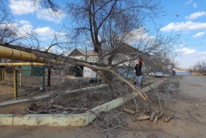 В Астрахани устраняют последствия сильного ветра