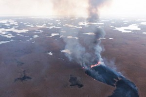Обмеление Каспия стало причиной роста природных пожаров в Астраханской области