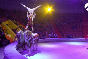 Артисты  «Дикой планеты» на арене астраханского цирка