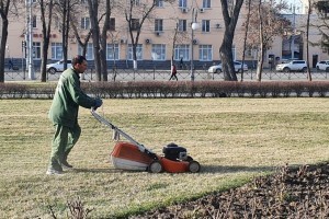 В Астрахани готовятся к высадке растений в парках и скверах