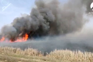В Астраханской области ландшафтными пожарами охвачено левобережье Волги