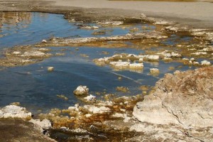 Астраханца оштрафовали за ущерб прибрежным территориям озера Суха-Худук