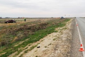 В Астраханской области опрокинулась иномарка из-за выскочившего на дорогу зайца