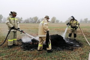 Учения пожарных организовали в природном ландшафте Астраханского заповедника