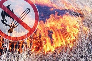 На территории Астраханской области начал действовать особый противопожарный режим