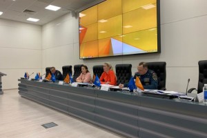 В МЧС России обсудили перспективы развития добровольчества в Российской Федерации
