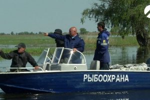 В Астраханской области с 16 мая вводится запрет на промышленную и любительскую рыбалку