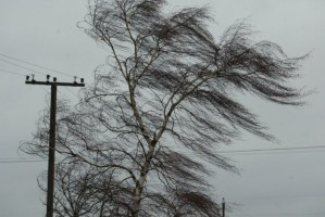 Астраханцев предупреждают об усилении ветра в&#160;пятницу