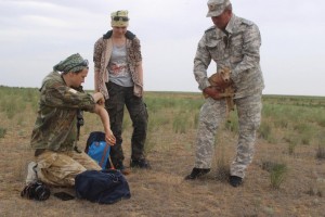 В Астраханской области за молодыми сайгаками будут следить через спутник