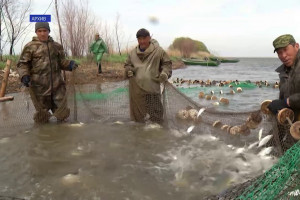 Рыбопромышленники Астраханской области озвучили предложения в правила рыболовства