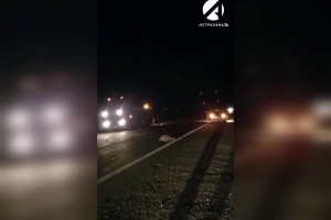 Ночное ДТП на трассе в Астраханской области произошло из-за отары овец