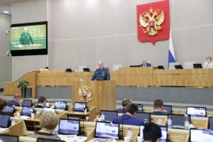 Законодательные инициативы МЧС России в области пожарной безопасности поддержаны Госдумой РФ