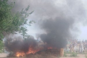 Астраханцы жалуются на регулярные поджоги возле кладбища