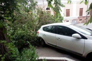 В центре Астрахани дерево едва не придавило иномарку