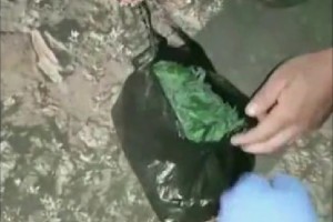 В Астрахани лишённый прав наркоман попался на дороге с пакетом конопли